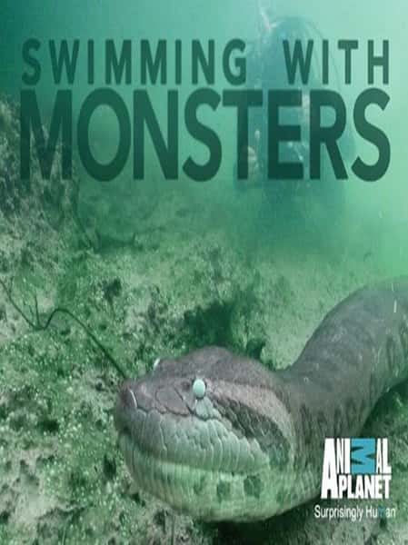 探索频道纪录片《与怪物同游 Swimming with Monster》全集[720P][有字幕][网盘]