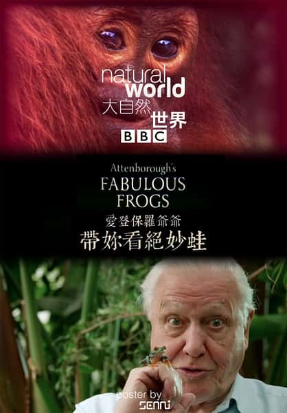 BBC纪录片《大自然：爱登保罗爷爷带你看绝妙的蛙 / Nature: Attenborough's Fabulous Frogs》全集-高清完整版网盘迅雷下载