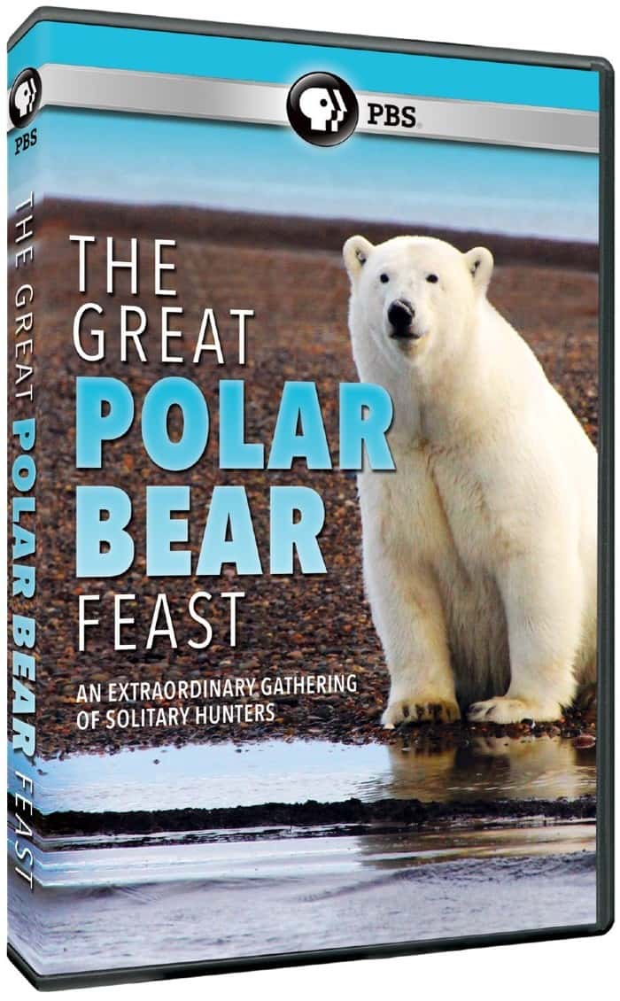 PBS纪录片《北极熊的盛宴 The Great Polar Bear Feast》全集[720P][有字幕][网盘]