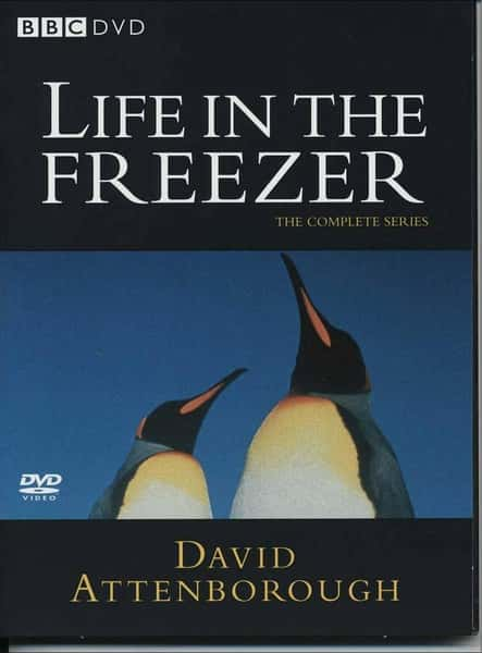 BBC纪录片《冰雪的童话 / Life In The Freezer》全集-高清完整版网盘迅雷下载