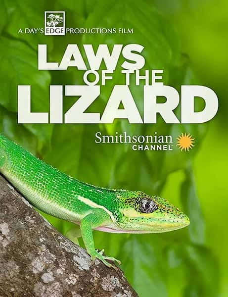 [Smithsonian] 淨 / Laws of the Lizard-Ѹ