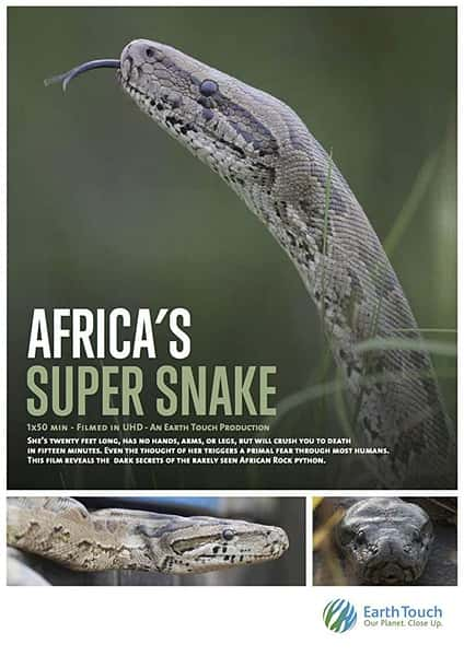 [ҵ] һ / Africa's Super Snake-Ѹ