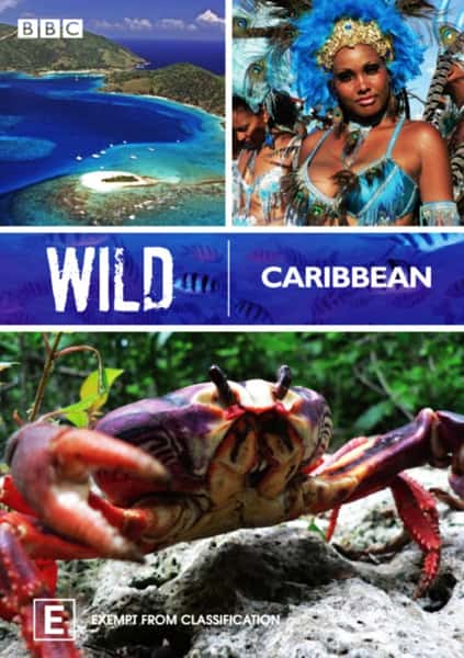 BBC纪录片《野性加勒比 / Wild Caribbean》全集-高清完整版网盘迅雷下载