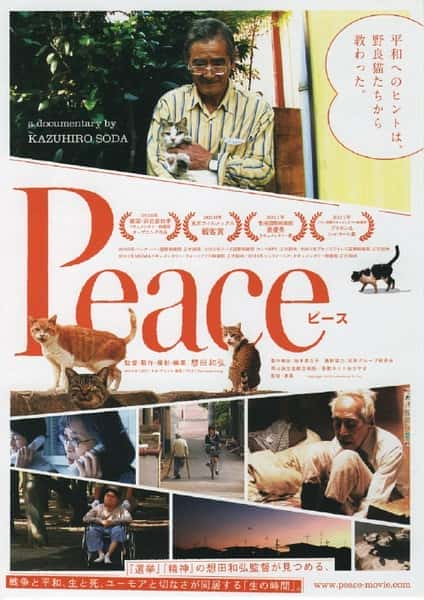 纪录片《完全和平手冊 Peace》全集[720P][有字幕][网盘]