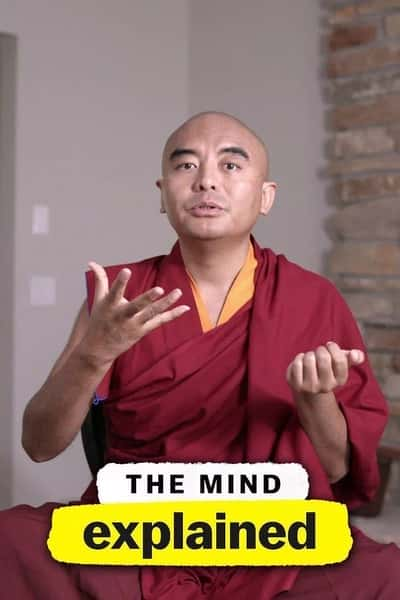 Netflix纪录片《头脑解密 第二季 The Mind, Explained Season 2》全集[720P][有字幕][网盘]