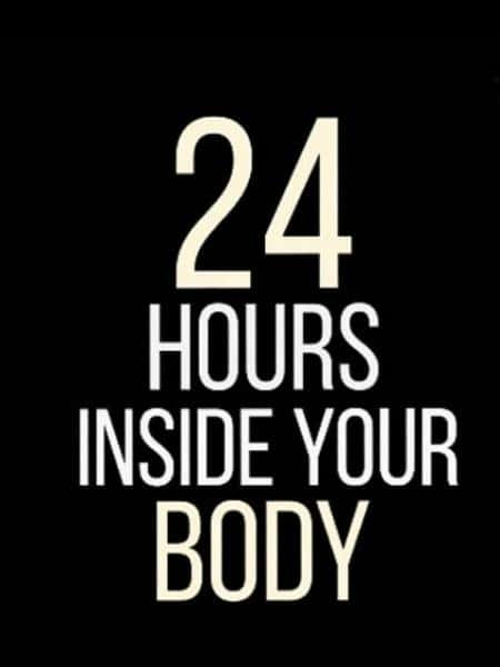 [] 24Сʱ / 24 Hours Inside Your Body-Ѹ