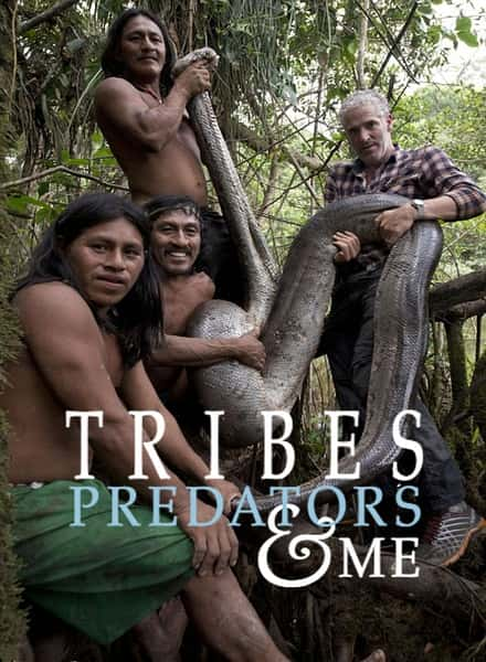 纪录片《成为部落捕食者 全二季 / Tribes, Predators and Me Season 1-2》全集-高清完整版网盘迅雷下载