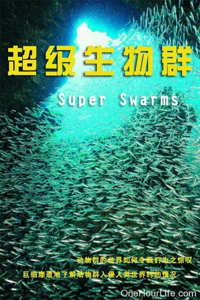 纪录片《超级群体 Superswarms》全集[720P][有字幕][网盘]