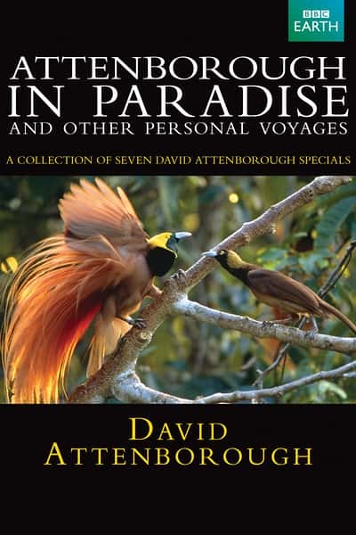 纪录片《鸟的天堂 / Attenborough in Paradise》全集-高清完整版网盘迅雷下载