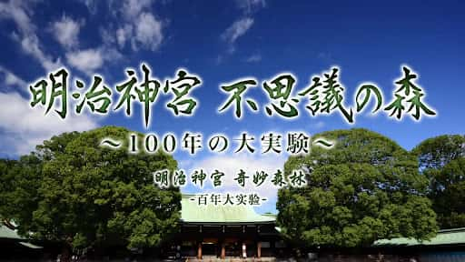 纪录片《明治神宫 奇妙森林 百年大实验 / 明治神宮 不思議の森～100年の大実験～》全集-高清完整版网盘迅雷下载