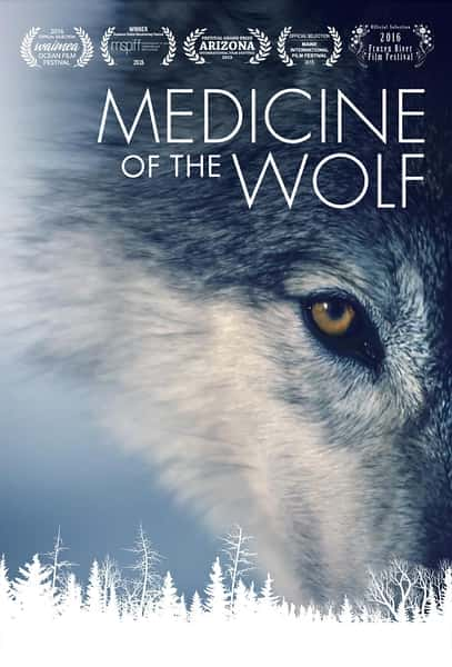 纪录片《狼医学 Medicine of the Wolf》全集[720P][有字幕][网盘]