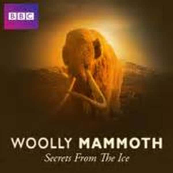 纪录片《揭秘冰层中的巨兽——猛犸 / Woolly Mammoth: Secrets from the Ice》全集-高清完整版网盘迅雷下载