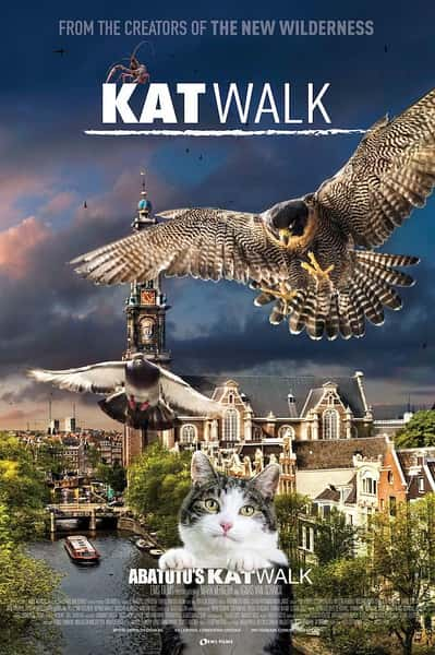 纪录片《阿姆斯特丹猫未眠 Katwalk》全集[720P][有字幕][网盘]