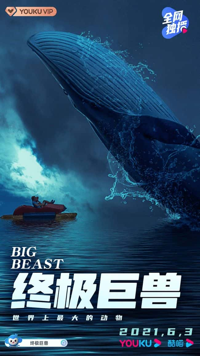 纪录片《终极巨兽：世界上最大的动物 / Big Beasts: Last of the Giants》全集-高清完整版网盘迅雷下载