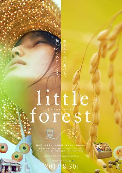 纪录片《小森林 夏秋篇 Little Forest Summer & Autumn》全集[720P][有字幕][网盘]