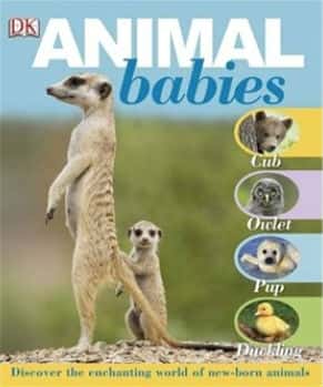 纪录片《动物宝宝 / Animal Babies》全集-高清完整版网盘迅雷下载