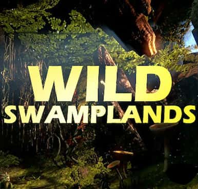 纪录片《沼泽生态志 / Wild Swamplands》全集-高清完整版网盘迅雷下载
