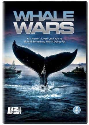 纪录片《鲸鱼大战 第一季 / Whale Wars Season 1/护鲸大战》全集-高清完整版网盘迅雷下载