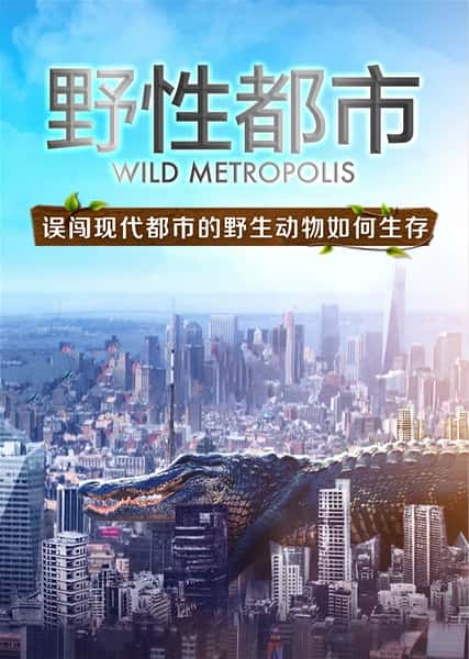 纪录片《野性都市 / Wild Metropolis》全集-高清完整版网盘迅雷下载