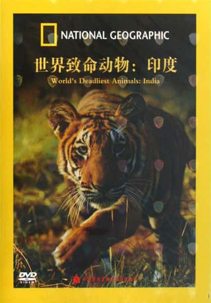 纪录片《世界致命动物全系列 Worlds Deadliest Animals》全集[720P][有字幕][网盘]