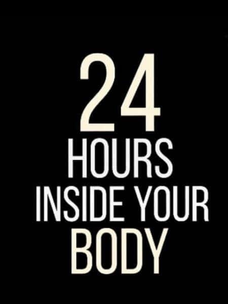 纪录片《24小时人体大揭密 / 24 Hours Inside Your Body》全集-高清完整版网盘迅雷下载