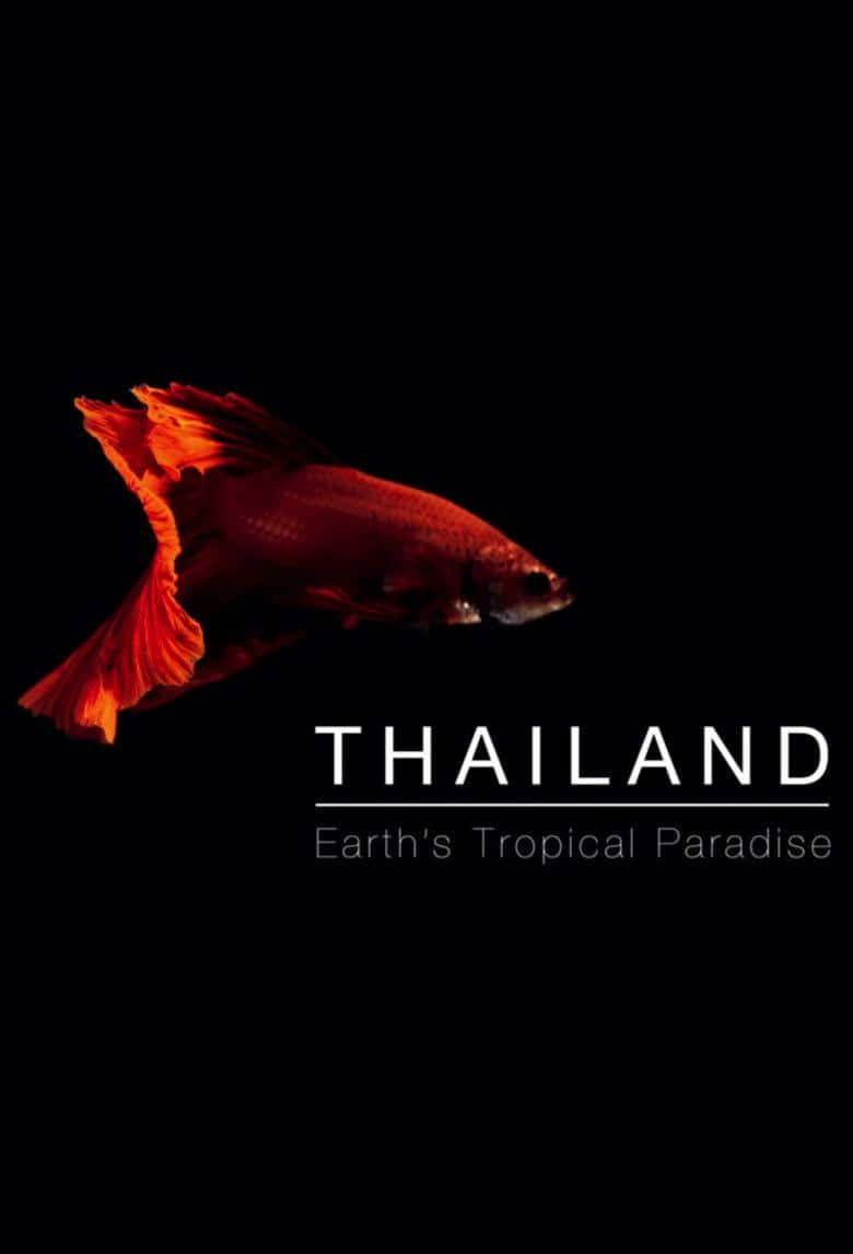 BBC纪录片《泰国：地球上的赤道天堂 Thailand: Earth's Tropical Paradise》全集[720P][有字幕][网盘]