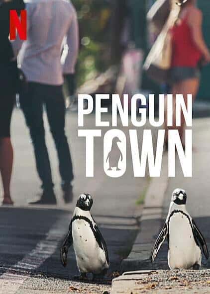 Netflix纪录片《企鹅小镇 / Penguin Town》全集-高清完整版网盘迅雷下载