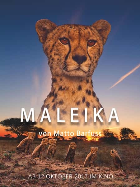 纪录片《非洲：动物乐园 / Maleika》全集-高清完整版网盘迅雷下载