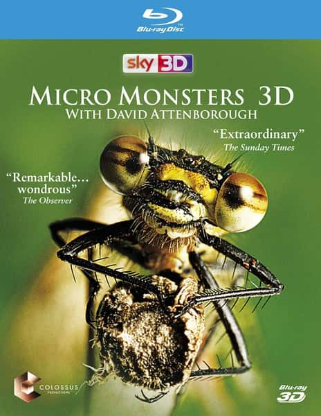 纪录片《微型猛兽世界之旅 Micro Monsters 3D》全集[720P][有字幕][网盘]