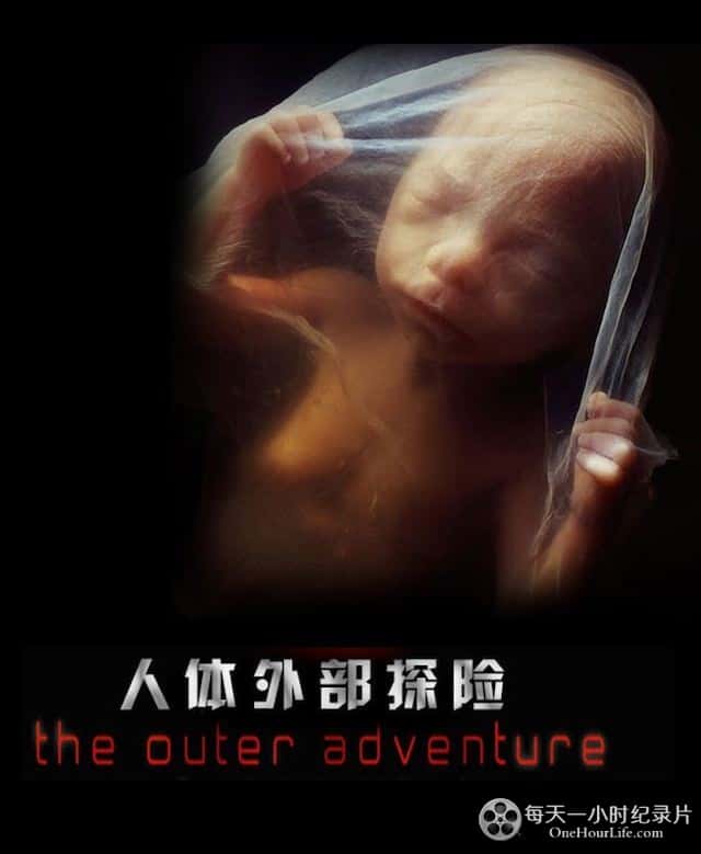 纪录片《人体外部探险 / The Outer Adventure》全集-高清完整版网盘迅雷下载