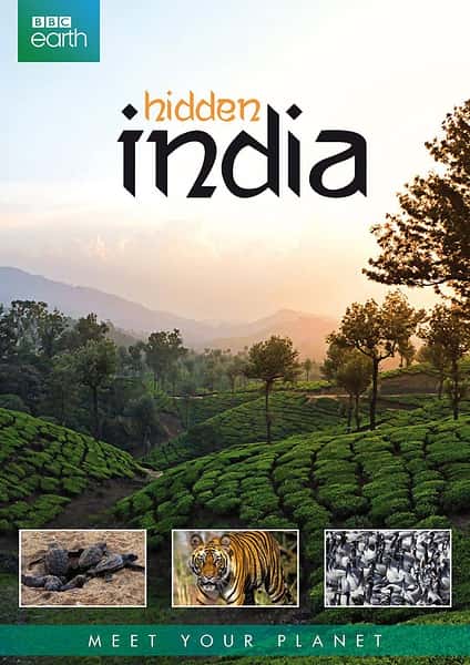 纪录片《隐秘的印度 / Hidden India》全集-高清完整版网盘迅雷下载