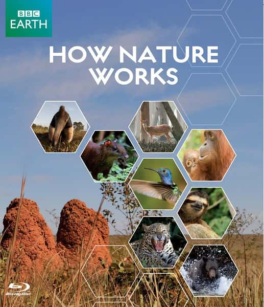 BBC纪录片《自然的运作 / How Nature Works》全集-高清完整版网盘迅雷下载