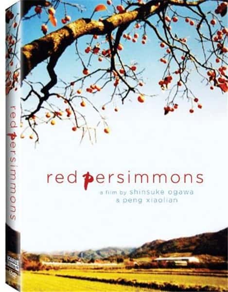 纪录片《满山红柿 / Red Persimmons》全集-高清完整版网盘迅雷下载