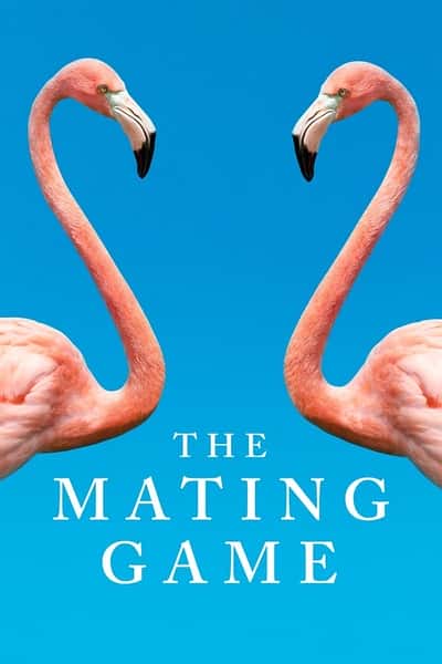 BBC纪录片《求偶游戏 / The Mating Game》全集-高清完整版网盘迅雷下载