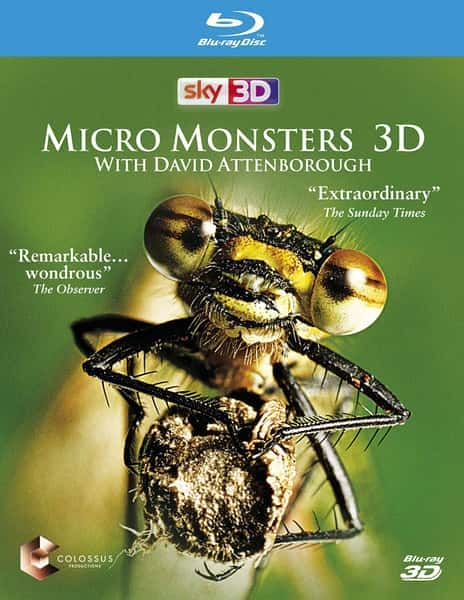 [BBC] 微型猛兽世界之旅 / Micro Monsters 3D-纪录片资源1080P/720P/360P高清标清网盘迅雷下载