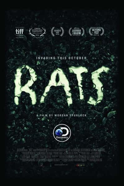 [PBS] 纽约鼠患 / Rats-纪录片资源1080P/720P/360P高清标清网盘迅雷下载