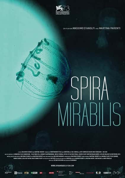 []   / Spira mirabilis-Ѹ