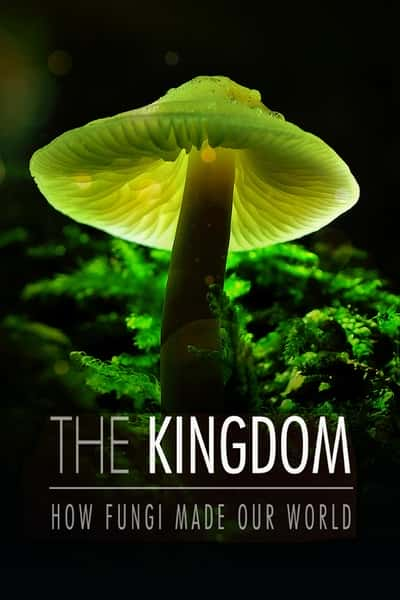 []  / The Kingdom: How Fungi Made Our Worl / -Ѹ