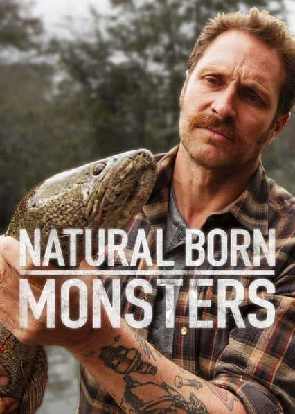 [ҵ]  / natural born monsters-Ѹ