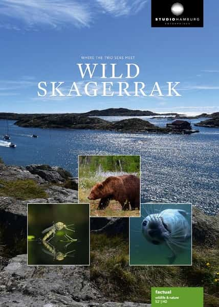 [BBC] ҰԱŷϿ / Wild Skagerrak-Ѹ