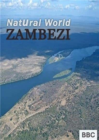 [国家地理] 赞比西河 / Zambezi-纪录片资源1080P/720P/360P高清标清网盘迅雷下载