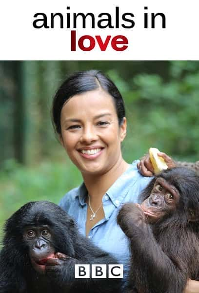 [BBC] 恋爱中的动物 / Animals and Love / 动物情感奥秘-纪录片资源1080P/720P/360P高清标清网盘迅雷下载