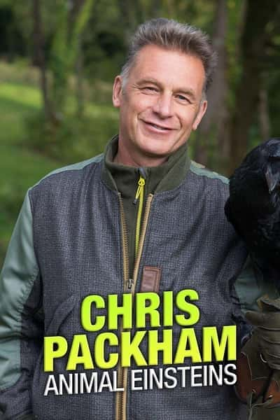 [BBC] 动物界的爱因斯坦 第一季 / Chris Packham's Animal Einsteins Season 1-纪录片资源1080P/720P/360P高清标清网盘迅雷下载