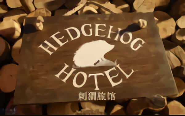 [BBC] ù / Hedgehog Hotel-Ѹ