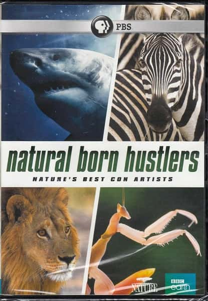 [PBS] ƭͽ / Natural Born Hustlers-Ѹ