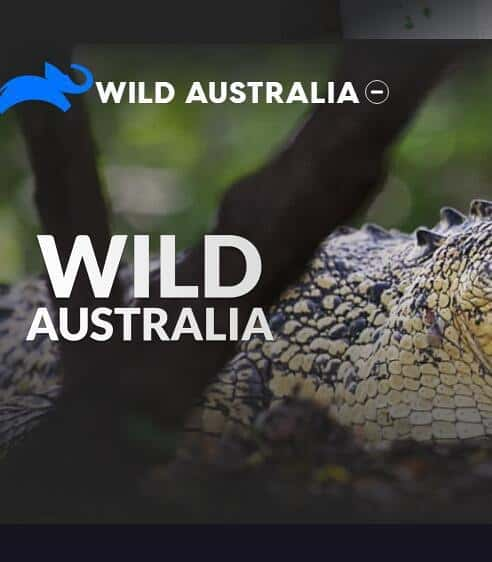 [ҵ] Ұ԰Ĵ / Wild Australi-Ѹ