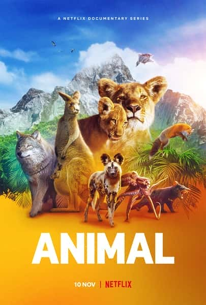 [Netflix] 动物本色 第一季 / Animal Season 1-纪录片资源1080P/720P/360P高清标清网盘迅雷下载