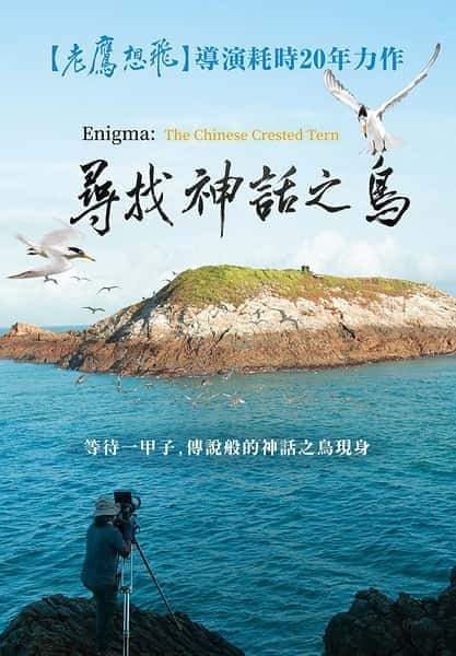 [其他] 寻找神话之鸟 / Enigma: The Chinese Crested Tern-纪录片资源1080P/720P/360P高清标清网盘迅雷下载