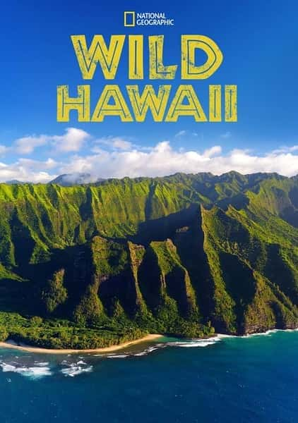 [国家地理] 狂野夏威夷 / Wild Hawaii-纪录片资源1080P/720P/360P高清标清网盘迅雷下载