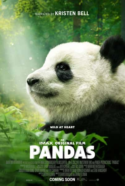 [IMAX] 大熊猫 / Pandas-纪录片资源1080P/720P/360P高清标清网盘迅雷下载